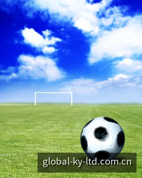 足球赛事内容